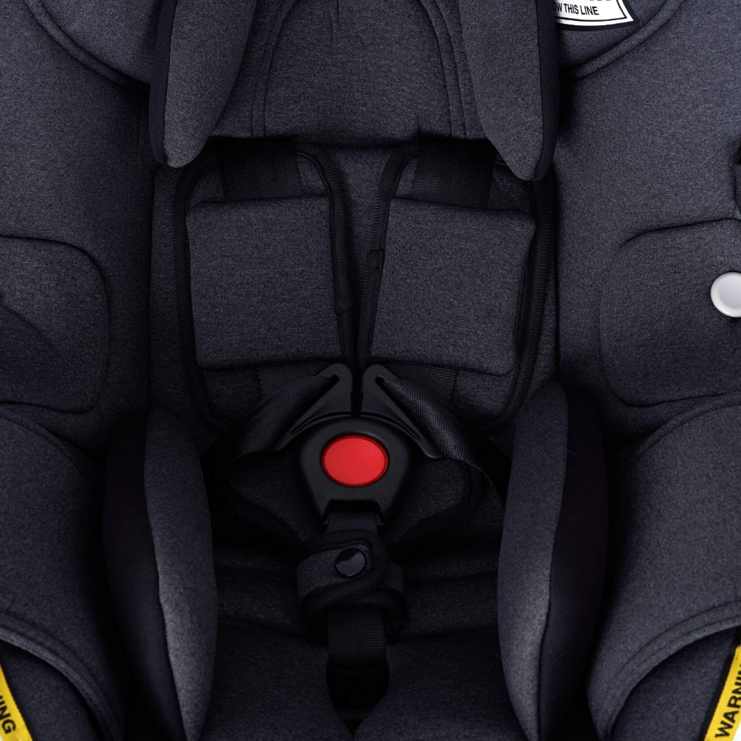 Close-up of InfaSecure Cocoon Go Capsule harness and padding